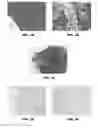 Fig. 02 - Compositions and methods for simultaneous inactivation of alkaline phosphatase and peroxidase enzymes during automated multiplex tissue staining assays
