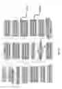 Fig. 49 - Microfluidic Devices for Cells or Organ based Multimodal Activation and Monitoring system