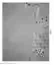 Fig. 07 - Haptens, hapten conjugates, compositions thereof and method for their preparation and use