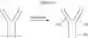 Fig. 232 - Haptens, hapten conjugates, compositions thereof and method for their preparation and use