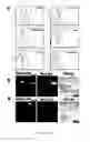 Fig. 07 - Fluorescent polybranched probes for detecting bacteria and/or fungi in vitro and in vivo