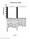 Fig. 35 - Fluorescent polybranched probes for detecting bacteria and/or fungi in vitro and in vivo