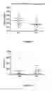 Fig. 06 - Method for the in vitro prediction of the probability of a patient developing severe dengue, based on a blood sample