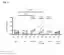 Fig. 09 - CXCL13 AS AN INDICATOR OF GERMINAL ACTIVITY AND IMMUNE RESPONSE