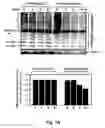 Fig. 02 - Compositions and methods for detecting proteinopathies