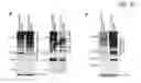 Fig. 45 - Compositions and methods for detecting proteinopathies
