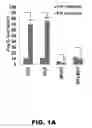 Fig. 02 - Methods of diagnosing and treating cancer comprising ME1