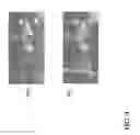 Fig. 10 - Method and apparatus for resolution and sensitivity enhanced atomic force microscope based infrared spectroscopy