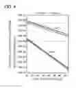 Fig. 05 - Multicore fiber