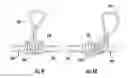 Fig. 06 - Fiber optic drop cable assembly