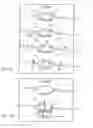 Fig. 48 - ADJUSTABLE SOLAR CONCENTRATOR ASSEMBLY AND METHODS OF USING SAME
