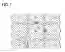 Fig. 02 - Display device