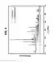 Fig. 09 - Nonlinear optical material and methods of fabrication