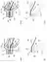 Fig. 06 - Unit for the regulation or control of a fluid pressure