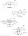 Fig. 03 - Cosmetic co-removal of material for electronic device surfaces