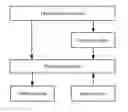 Fig. 01 - Displayed content adjustment based on a radian of an arc