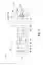 Fig. 02 - Deduplication aware scalable content placement