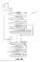 Fig. 08 - DYNAMIC SCANNING THREAD GENERATION