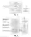 Fig. 02 - Deterministic code fingerprinting for program flow monitoring