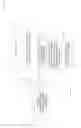 Fig. 02 - Data bearing image related to a compilation and position
