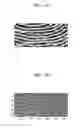 Fig. 04 - Method of recognizing fingerprint and electronic device including the same