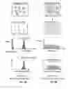 Fig. 09 - Descriptive measurements and quantification of staining artifacts for in situ hybridization