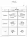 Fig. 06 - APPARATUS, METHOD FOR OBJECT IDENTIFICATION, AND NON-TRANSITORY COMPUTER-READABLE STORAGE MEDIUM