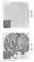 Fig. 06 - Simultaneous feature extraction and dictionary learning using deep learning architectures for characterization of images of heterogeneous tissue samples