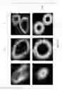 Fig. 09 - Methods of systems of generating virtual multi-dimensional models using image analysis