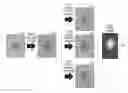 Fig. 01 - Detection of outlier lesions based on extracted features from skin images