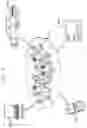 Fig. 08 - Classification of severity of pathological condition using hybrid image representation
