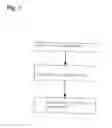 Fig. 02 - METHOD AND DEVICE FOR DETERMINING VITAL PARAMETERS