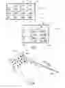 Fig. 04 - Method for processing scan data
