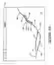 Fig. 07 - Method and apparatus for capturing, geolocating and measuring oblique images