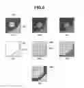 Fig. 07 - Image processing apparatus, image processing method, and storage medium
