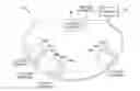 Fig. 01 - Method and system for side wagering