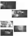 Fig. 01 - Dynamic haptic generation based on detected video events