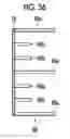 Fig. 22 - Soundproof structure
