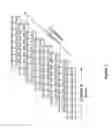 Fig. 04 - Inserting watermarks into audio signals that have speech-like properties