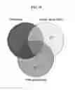 Fig. 34 - Methods and compositions for classification of samples