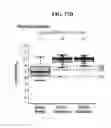 Fig. 49 - Methods and compositions for classification of samples