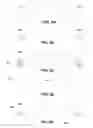 Fig. 06 - High density Tec-Cell carrier
