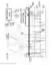 Fig. 48 - 3D SEMICONDUCTOR DEVICE AND STRUCTURE