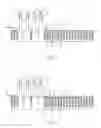 Fig. 07 - Forming on-chip metal-insulator-semiconductor capacitor