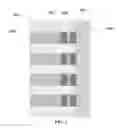 Fig. 02 - Magnetic random access memory and manufacture thereof