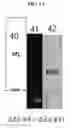 Fig. 06 - Organic light-emitting device and organic light-emitting display device using the same