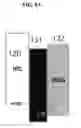 Fig. 09 - Organic light-emitting device and organic light-emitting display device using the same