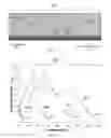 Fig. 07 - DIFFUSE OMNI-DIRECTIONAL BACK REFLECTORS AND METHODS OF MANUFACTURING THE SAME