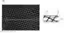 Fig. 01 - FINGER ELECTRODE FOR SOLAR CELL AND METHOD OF MANUFACTURING THE SAME