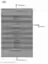 Fig. 01 - Ultra-wideband light emitting diode and optical detector comprising aluminum gallium antimonide and method of fabricating the same